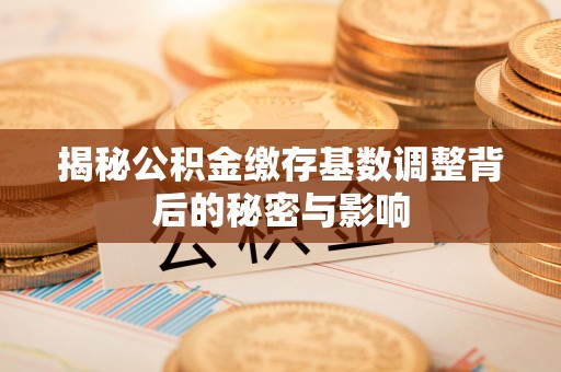 巴马揭秘公积金缴存基数调整背后的秘密与影响