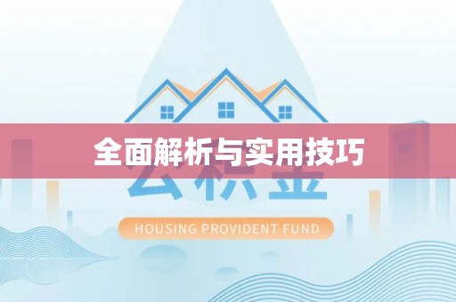 巴马全面解析与实用技巧