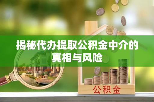 巴马揭秘代办提取公积金中介的真相与风险