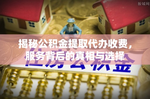 巴马揭秘公积金提取代办收费，服务背后的真相与选择