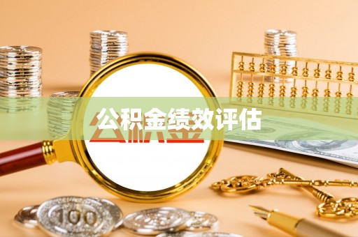 巴马公积金绩效评估