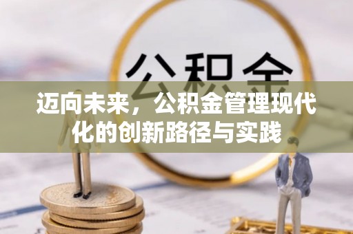 巴马迈向未来，公积金管理现代化的创新路径与实践