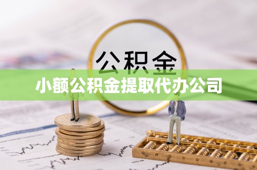 巴马小额公积金提取代办公司