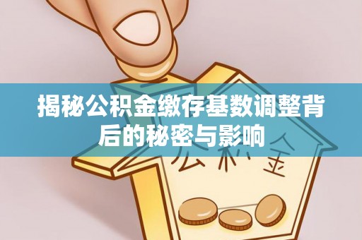 巴马揭秘公积金缴存基数调整背后的秘密与影响
