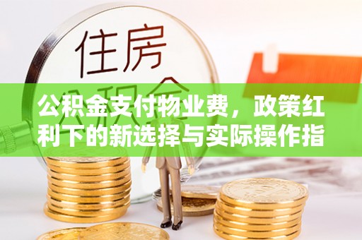 巴马公积金支付物业费，政策红利下的新选择与实际操作指南