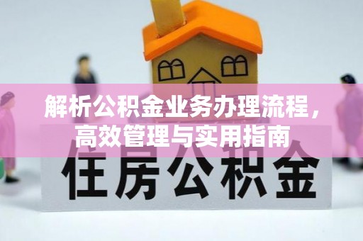 巴马解析公积金业务办理流程，高效管理与实用指南
