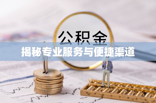 巴马揭秘专业服务与便捷渠道