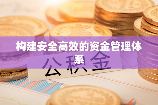 巴马构建安全高效的资金管理体系