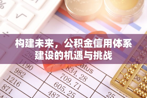 巴马构建未来，公积金信用体系建设的机遇与挑战