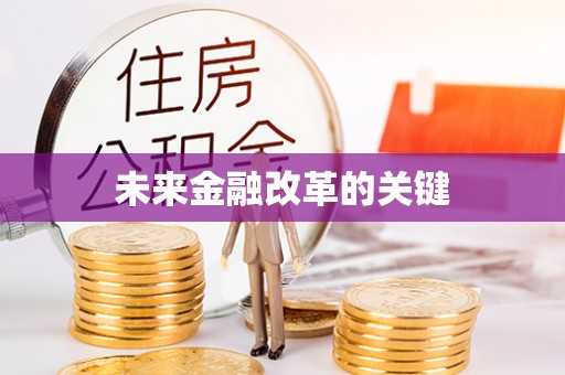 巴马未来金融改革的关键
