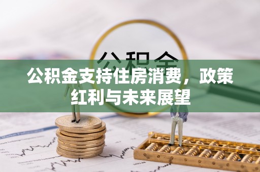 巴马公积金支持住房消费，政策红利与未来展望