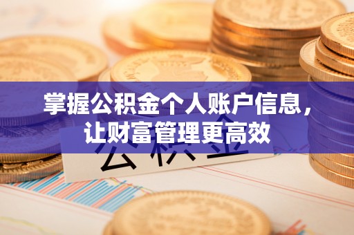 巴马掌握公积金个人账户信息，让财富管理更高效