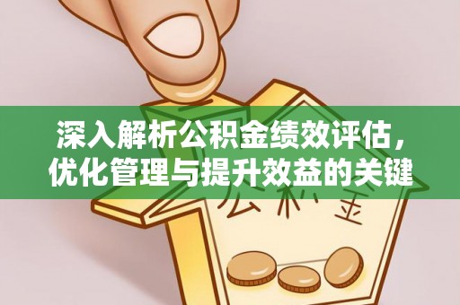 巴马深入解析公积金绩效评估，优化管理与提升效益的关键路径
