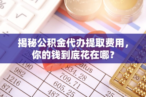 巴马揭秘公积金代办提取费用，你的钱到底花在哪？