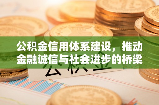 巴马公积金信用体系建设，推动金融诚信与社会进步的桥梁