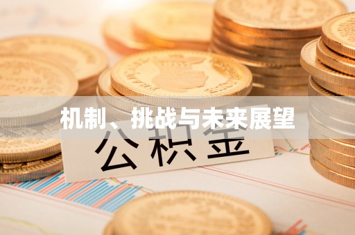 巴马机制、挑战与未来展望